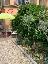 Casa a schiera 107 mq, 2 camere, zona Ginestra