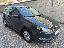 VOLKSWAGEN Polo 1.4 TDI 5p. Trendline BlueMot.Tech.