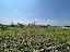 Terreno 2250 mq
