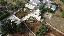 Rustico 130 mq, soggiorno, 4 camere