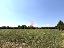 Terreno 36000 mq, zona Limena