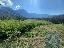Terreno 2985 mq