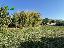 Terreno 1100 mq, zona Zona industriale