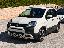 FIAT Panda 1.0 FireFly S&S Hybrid Pandina