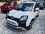 FIAT Panda 1.0 FireFly S&S Hybrid Pandina