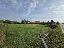Terreno 2700 mq, zona Bronzola