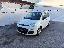FIAT Panda 1.3 MJT 95 CV S&S Lounge