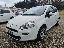 FIAT Punto 1.3 MJT 75CV 3p.Van Easy 2p.ti E5+