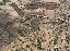 Terreno 61400 mq, zona Modica