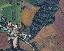 Terreno 2156 mq, zona Carpeneto