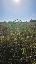 Terreno 57000 mq, zona Vacil