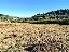 Terreno 8500 mq