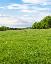 Terreno 650 mq, zona Mussolente
