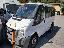 Ford transit pulmino 9 posti
